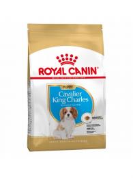 Royal Canin Kavalír King Charles Puppy 1.5 kg