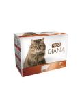 eco Diana Cat kapsičky hovězí kousky v omáčce 12x100 g