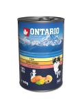 Ontario konzerva Mini ryby tří druhů, lososový olej a bylinky 400 g