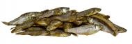 Sušené rybičky 3-6 cm 1100 ml