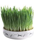 Trixie Keramická miska na trávu pro kočky 15x4 cm + travní semeno 50 g