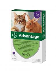Advantage Spot-on 80 mg pro velké kočky a králíky 4x0,8 ml