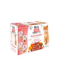 Brit Care Cat Pouches Flavour box Fillets in Gravy 12x85 g