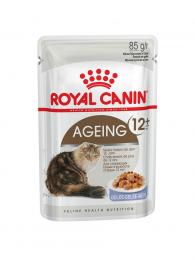 12 x Royal Canin kapsička Ageing 12+ in Jelly 85 g