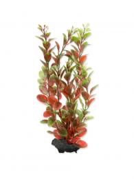 Tetra Akvarijní rostlina Red Ludwigia M 23 cm