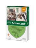 Advantage Spot-on 40 mg pro malé kočky a králíky 4x0,4 ml