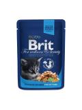 Brit Premium Cat Pouch with Chicken Chunks for Kitten 100 g