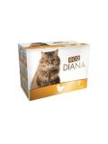 eco Diana Cat kapsičky kuřecí kousky v omáčce 12x100 g