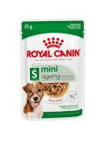 Royal Canin kapsička Dog Mini Ageing 12+ in Gravy balení 12x85 g