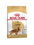 Royal Canin Kokr Adult 3 kg