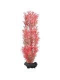 Tetra Akvarijní rostlina Foxtail Red M 23 cm